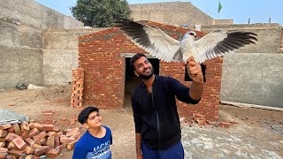 Bht Khobsorat Bird Hai Ye