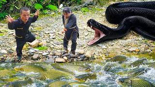 Survival skills of the dwarf family: Encountering a giant python while trapping stream fish Wealth