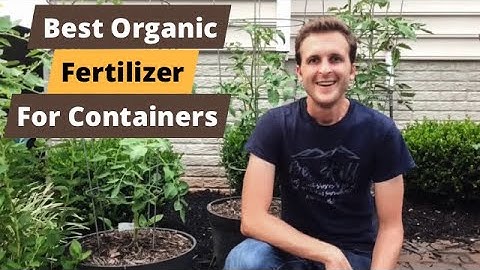 BEST Organic Fertilizer for Container Gardens