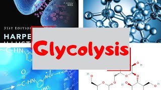 تحلل الجلوكوز | glycolysis | شرح عملية glycolysis بطريقة مبسطة وسهلة الفهم.