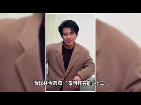 秦汉因何不娶林青霞？上了年纪后，很多人自然而然就懂了