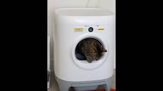 Petkit Pura X akıllı kedi tuvaleti #cats #tiktok #keşfet #video #youtubeshorts #twitter #petkit