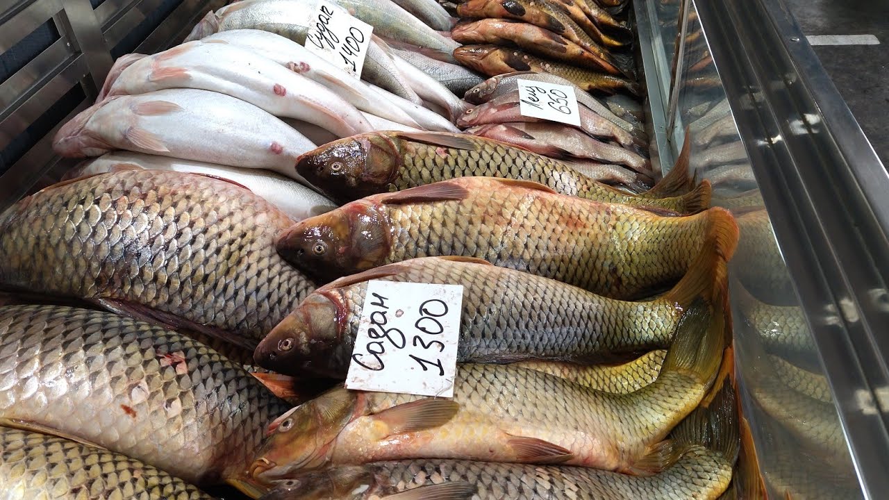 Крупнейший рынок Алматы. Лучший рубщик мяса!!! Меня задержала охрана ...