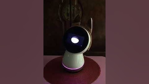 Jibo  can tell your secret number using simple math trick