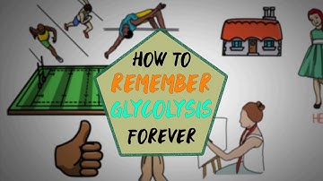 Glycolyse TRUC - Hoe je GLYCOLYSE VOOR ALTIJD kunt onthouden!!!