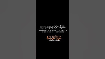 سورة التوبة - قرآن كريم