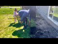 Traage du patio update du jardin et quelques nouveauts