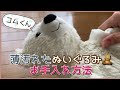 薄汚れたぬいぐるみ🧸お手入れ方法