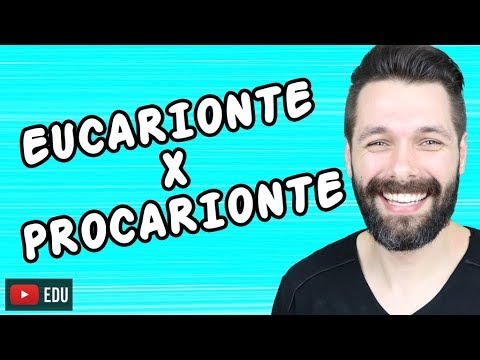 CÉLULAS EUCARIONTES E PROCARIONTES - DIFERENÇAS | Biologia com Samuel Cunha