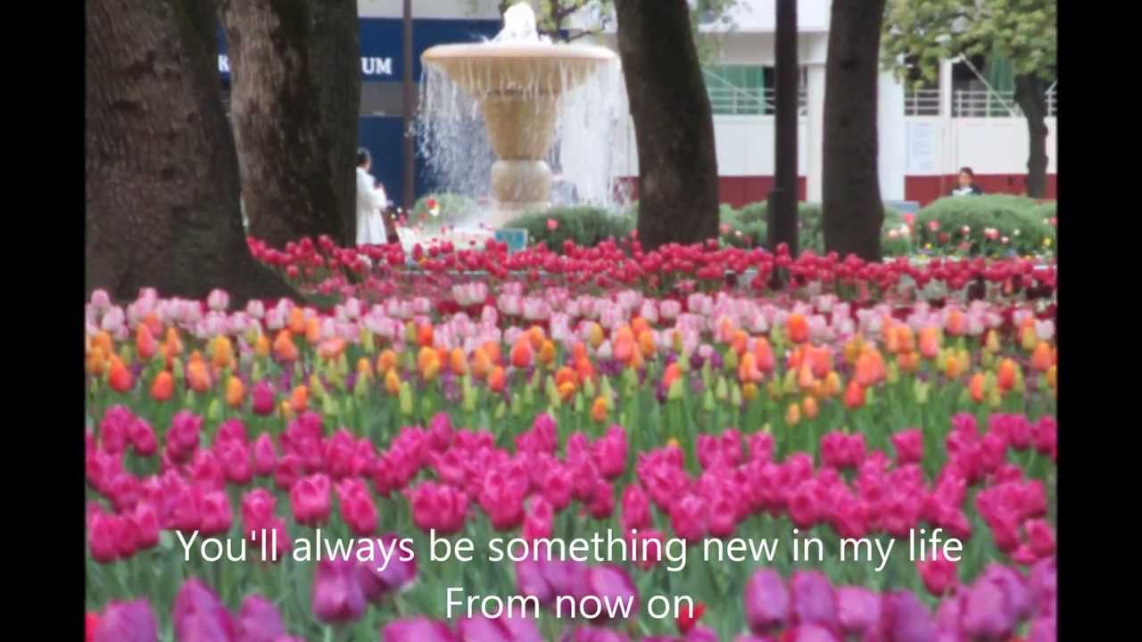 Something New In My Life - with Lyrics ( Stephen Bishop ) - YouTube