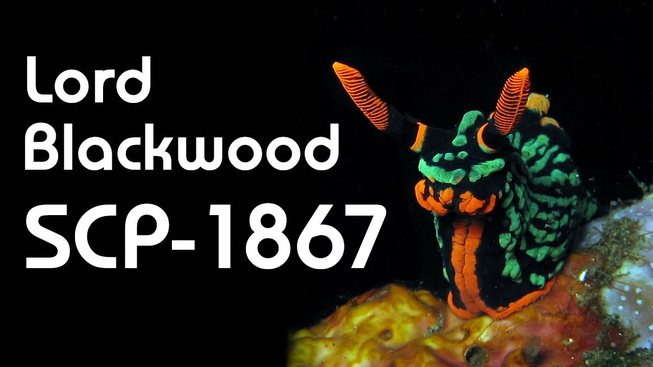Scp 1d6 J Szalenstwo Cygaxa Pl Youtube Scp 1d6 J Szalenstwo Cygaxa Pl Youtube