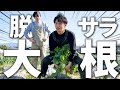 【脱サラ】会社辞めて大根抜きに来たらどうなる!? 大根ステーキ/じゃむせ