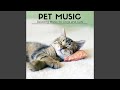 Sleep music for pets
