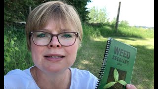 Weeds, Weeds, Weeds.... How to Identify Some Common Garden Weeds in Alberta