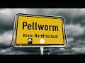 Frühling auf Pellworm | Frizz Feick | Eine PellePopProduktion