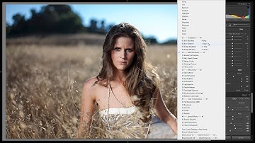 Learning the Brush Presets in the Lightroom 4 Preset System