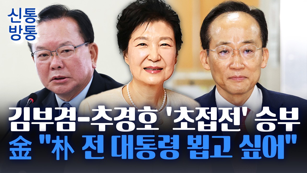 김부겸 박근혜 예방 요청 관련 방송 화면