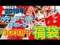 ＊59【2019年 猫用福袋】ペットワールドアミーゴ3000円福袋✨初めての福袋に猫（リクト）大喜び❤️