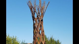 видео: Плетеное живое дерево из Ивы картинка: Плетеное живое дерево из Ивы