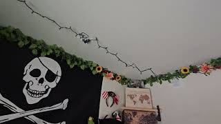 String lights update