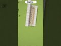 Minecraft Working Lights 💡 That Actually Work! 😱 #minecraft  #shorts