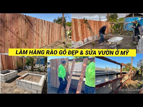 Video: Hàng Rào Gỗ