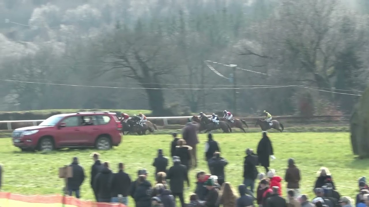 Sky Grove (IRE) - HORSE IN TRAINING - Order Of St. George (IRE) ex Scarlet Sky (IRE)