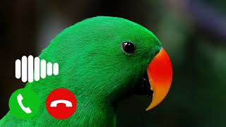 Enemies head PUBG Ringtone | Pubg Notification Ringtone | New Pubg Voice Message Ringtone |#Sms screenshot 5