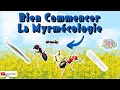 Comment bien commencer la myrmecologie  materiels  tube de fondation