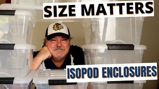 Isopod Enclosures  Selecting the Perfect Size  #isopods #isopodsetup #porcellio