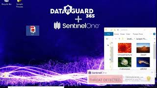 DG365 DETECTION, ROLLBACK DEMO