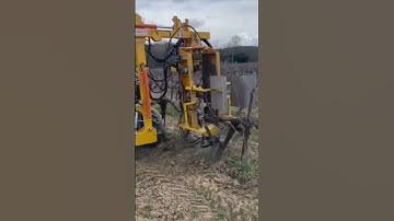 Automatic Pruning Grape Vines, Best Automation Solution👍
