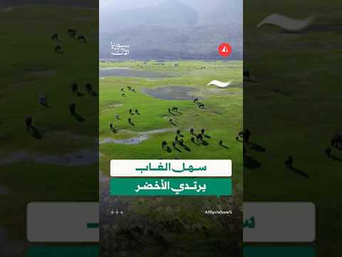 مشاهد خلابة لسهل الغاب
