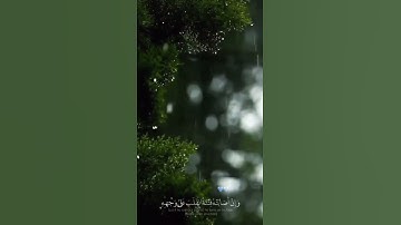 تلاوة القرآن الكريم سورة. الحج الأيه (11)🎧🌱