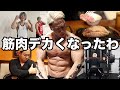 筋肉がつく食事の黄金比