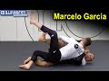 Shoulder Clamp Sweep When The Opponent Tripods by Marcelo Garcia