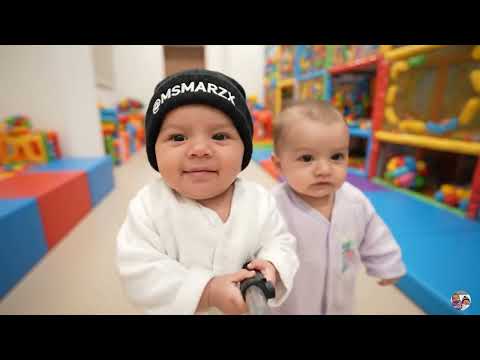 توأم الذكاء الاصطناعي فلوق الحضانة