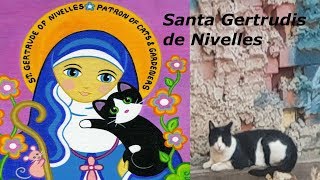 Santa Gertrudis de Nivelles, patrona de todos los gatos del mundo