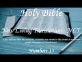 English Audio Bible - Numbers 15 - New Living Translation NLT