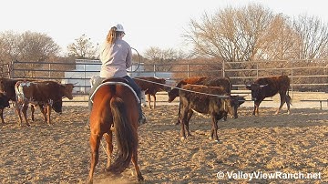 Whiz In The Wind - roping and working cows! - ValleyViewRanch.net
