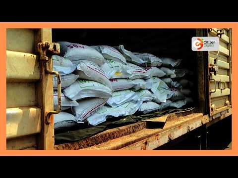 Fertiliser shortage threatens Kenya's food security