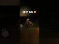 DON'T BUM 😡 #rdr2 #rdr #rdro #rdr2funny #rdr2funnymoments #funnykills #fyp #shorts