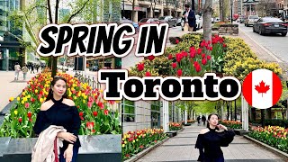 SPRING in TORONTO VLOG| PinayinCanada🇨🇦