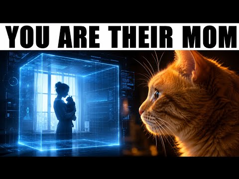 7 Things Experts Don't Want You To Know About The Kitty Lixo Leak More Than Meets The Eye