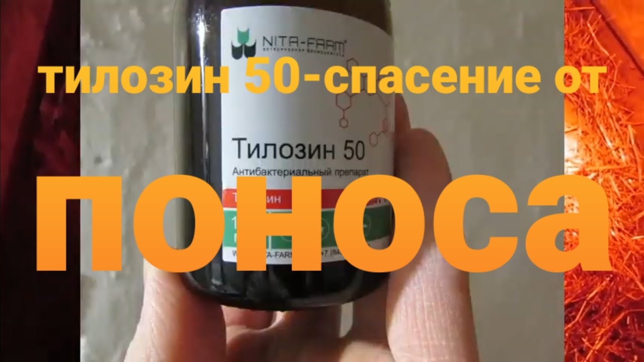 Какое лекарство поможет избавиться ОТ ПОНОСА у поросят. О лекарстве ...