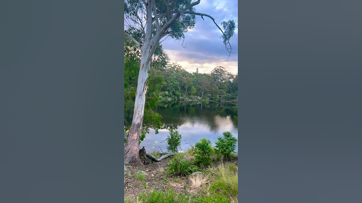 #sydney #parramatta lake