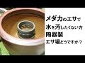 メダカのエサで水を汚したくない方　陶器製　エサ場どうですか？