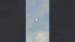 Download Lagu 🌓🌗Bulan setengah😶‍🌫️ MP3