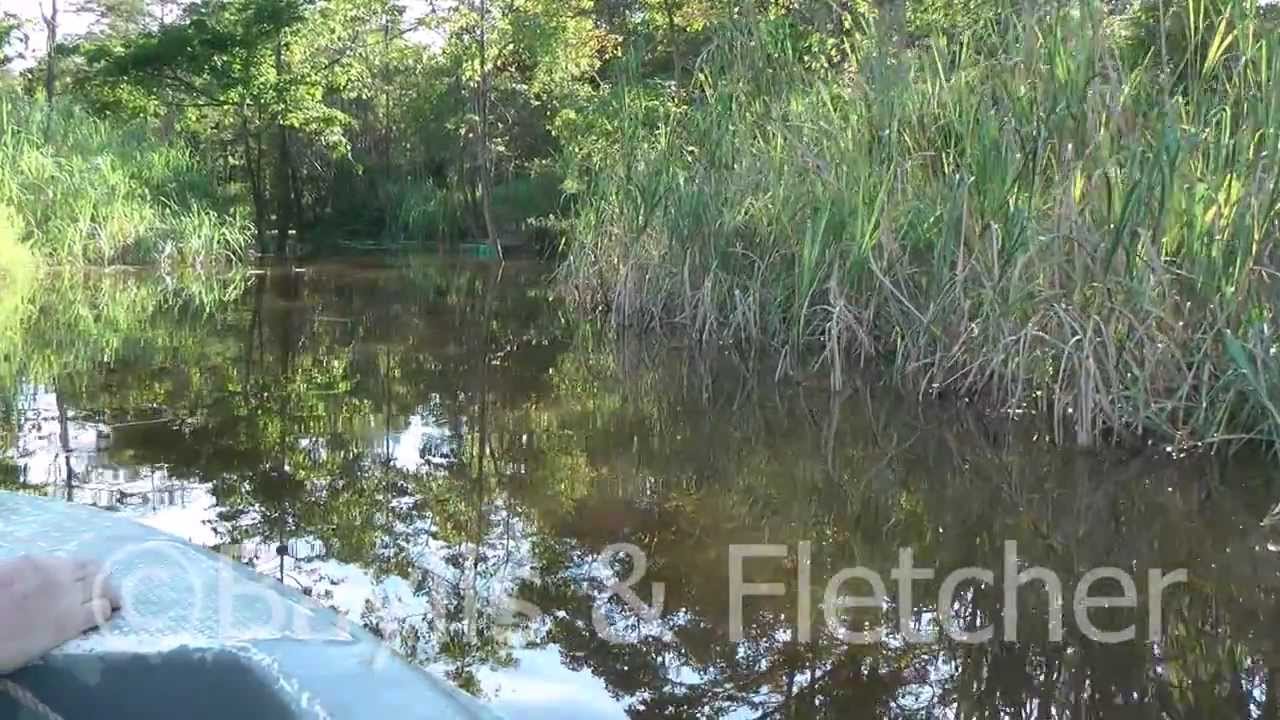 Crocodile trap, Malaysia. 20120426_162848.mp4