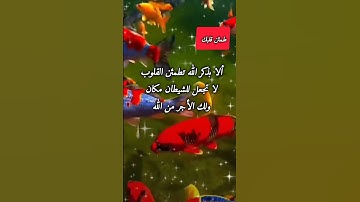 #قران_كريم #سورة النمل  #صوت_جميل #حالات واتس